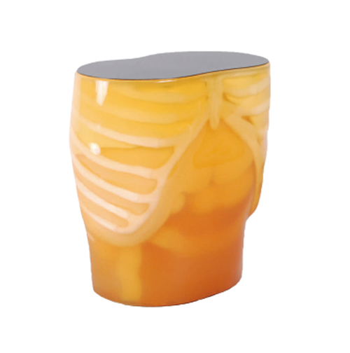 PH-5 CT腹部模型,KYOTO KAGAKU PH-5CT 腹部模体